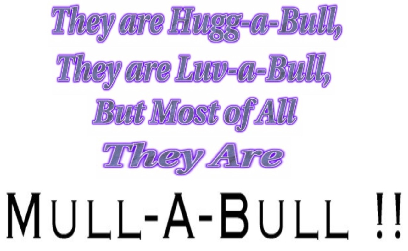 Mull-A-Bull Logo!